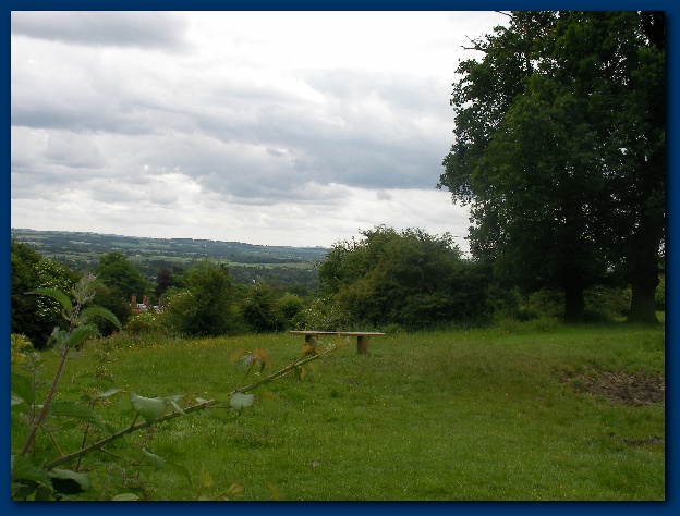 600x449 pixels (123K)